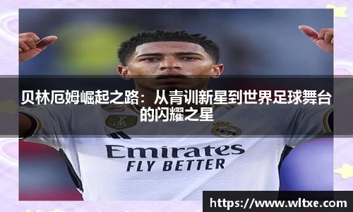 yy易游体育官方网站