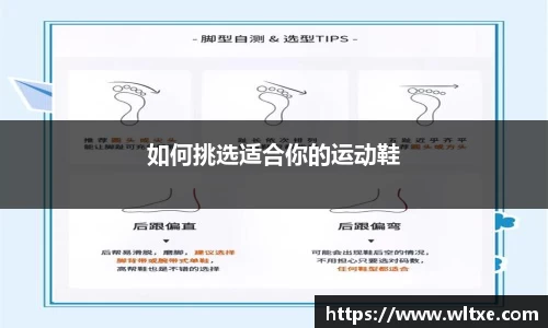 yy易游体育官网